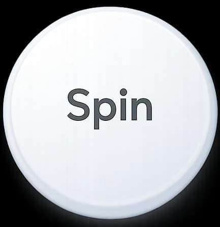 Spin